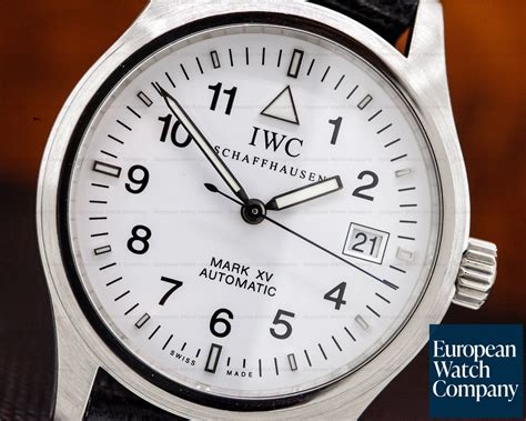 iwc white dial.